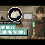 Beast of Reincarnation - Everything You Need to Know About to Cooking