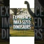 Experience IMAX-sized dinosaurs in your neighborhood. Get tickets now for The End of Oak Street.