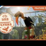 Planet Zoo 2 - Feature Focus: Frequent Flyers | PS5 Games