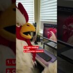 The nicest crib a cock could ask for! 🐔