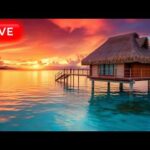🔴 Deep Relaxing Music for Sleep 24/7: Peaceful Zen Music, Sleep Relaxation, Sleep Meditation Music